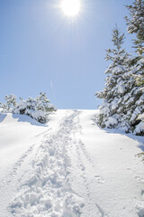 szlak, ściezka w śniegu, Tatry zima góry w śniegu, drzewa, choinki, kościelisko, zakopane,...