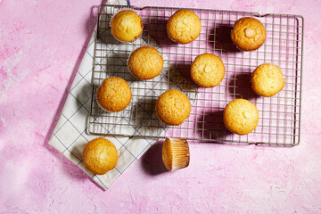 Vanilla Caramel Nuts Muffins In Paper Cups with reeds plant on grill on pink grunge background