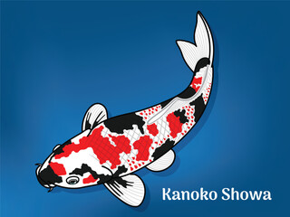 Vector image of Fancy carp or "koi". This's Varieties are called "Kanoko Showa". Illustration for children's learning