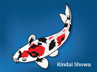 Vector image of Fancy carp or "koi". This's Varieties are called "Kindai Showa". Illustration for children's learning