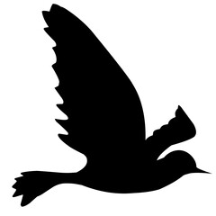 Bird Silhouette illustration