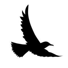 Bird Silhouette illustration