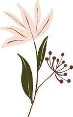 flower hand drawing illustration