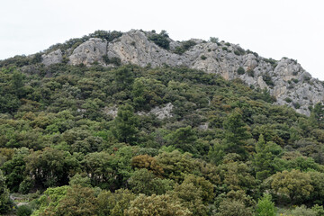 Fototapeta premium Emergence rocheuse au col du Cayron à Gigondas - Vaucluse - France
