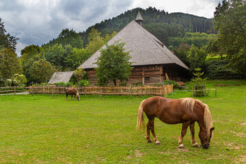 Horses and a farmhouse in Black Forest Open Air Museum in Gutach village in Baden-Wuerttemberg,...