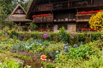  Vegetable garden and a farmhouse in Black Forest Open Air Museum in Gutach village in...