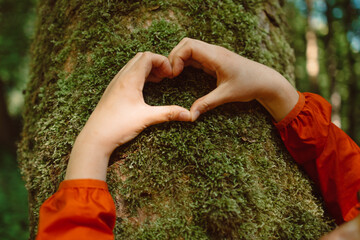 Heart hand on tree with moss, loving the nature. Hand touching a tree trunk in the forest. High quality photo