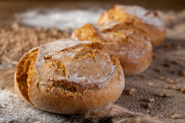 Freshly baked round bread.