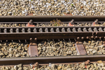 Detail of Bavarian Zugspitze cogwheel Railway, Germany