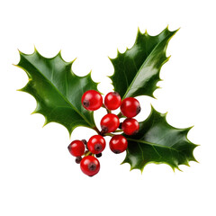 Holly berry with leaves isolated. Illustration AI Generative.