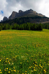 Passo Costalunga in Dolomites, Italy. Hillside of mount Catinaccio (Rosengarten) on the background, Italy, Europe