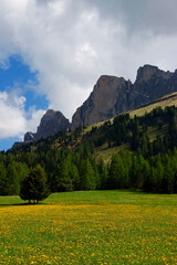 Passo Costalunga in Dolomites, Italy. Hillside of mount Catinaccio (Rosengarten) on the background, Italy, Europe