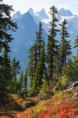 Mountains in Washington