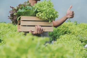 Organic farm ,Worker testing and collect environment data from bok choy organic vegetable at greenhouse farm garden.