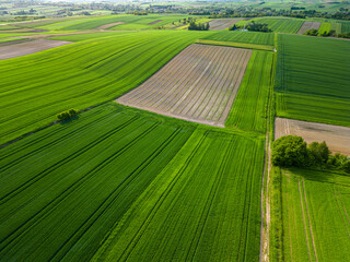 typical agricultural landscape of Podkarpackie province with fragmented land structure