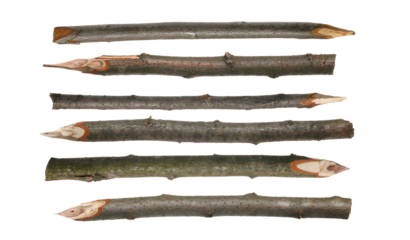 Set sharp stake isolated on white