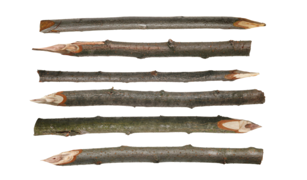 Set sharp stake isolated on white