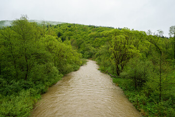 Wisloka river during the flood in the area of Magura National Park © Daniel Sztork