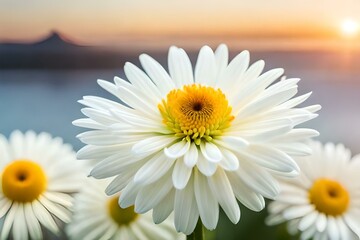 Naklejka premium daisies in water