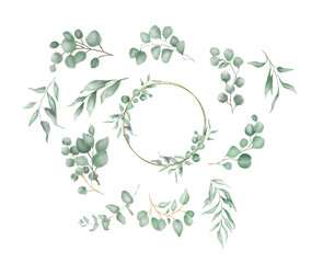 Watercolor  Eucalyptus Clipart, frame and branches with leaves, transparent background 