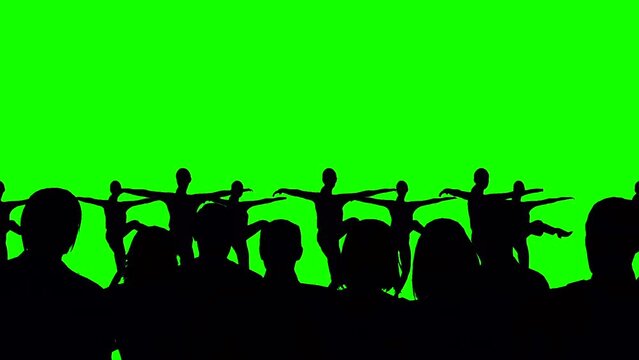 Crowd watching women dance green screen silhouettes