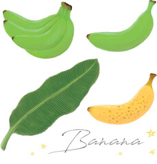 青いバナナと熟れすぎバナナと葉の手描き水彩セット　ベクター