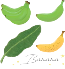 Foto auf Leinwand 青いバナナと熟れすぎバナナと葉の手描き水彩セット　ベクター © 奈緒美 岡村