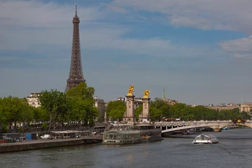 Papier Peint photo autocollant Pont Alexandre III Le Pont Alexandre III sur la Seine, Paris, France