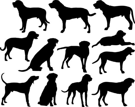 Set of Broholmer Dogs Silhouette
