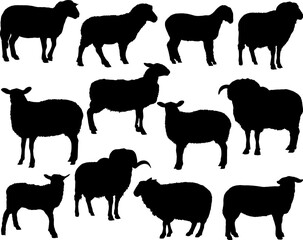 Set of Sheeps Silhouette, Farm Animal Bundle