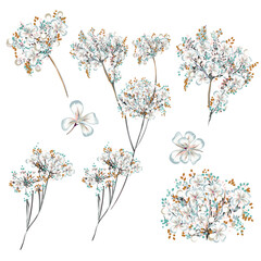 Collection of vector hand drawn rustic flowers