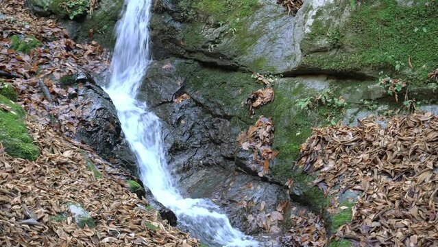 Valley of Mt. Buko in Chichibu, Saitama, Japan