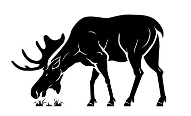 Wild Moose Grazing, Side View Animal Silhouette