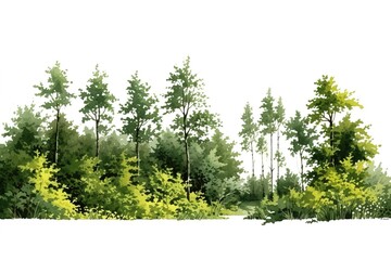 green forest isolated on white background. Generated by AI.