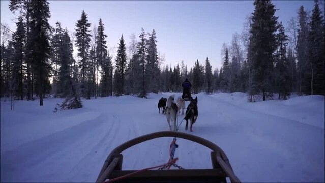 Hunde Schlittenfahrt im verschneiten Finnland im Januar