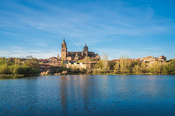 City skyline of Salamanca with the Cathedral of Salamanca