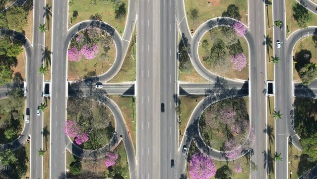 Florada dos Ip&ecirc;s nas tesourinhas de Brasilia - Brasil