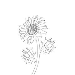 illustration of a flower