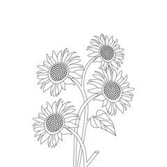 Sunflower Outline on a White Background Vector Illustration