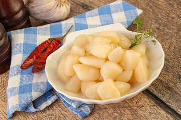 Raw scallop seafood in the bowl