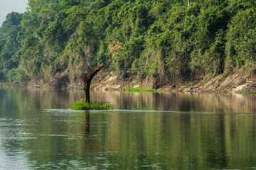 The Corumbiara State Park, in Rondonia, Brazil, brings together a unique biodiversity in three biomes: Pantanal, Amazon and Cerrado.