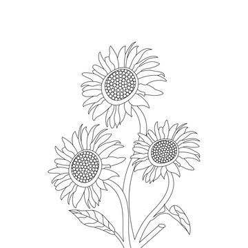 Realistic Sunflower Hand Drawn Vintage Floral Bouquet