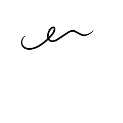 Curly Swishes Swashes