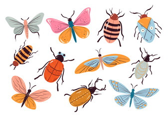 Insect bug butterfly beetle animal line art isolated set. Vector design graphic illustration