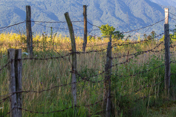 Fototapeta premium Landscape in Romania
