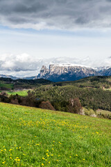 beautiful portrait of the vajolet mountain