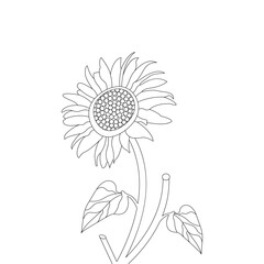 white flower isolated on black