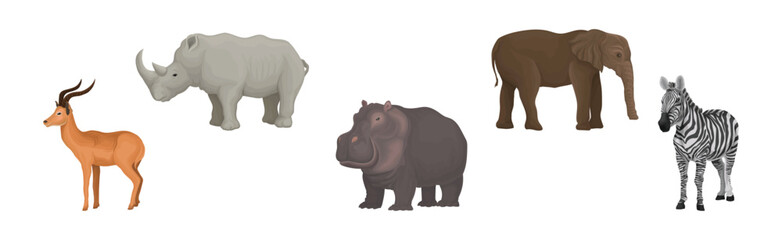 Obraz premium African Animal with Rhino, Gazelle, Hippo, Zebra and Elephant Vector Set
