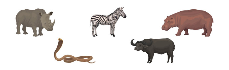 African Animal with Rhino, Zebra, Hippo, Buffalo and Cobra Vector Set