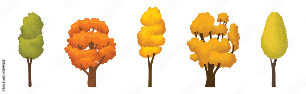 Poster bright colorful autumn trees with vivid crown and trunk vector set